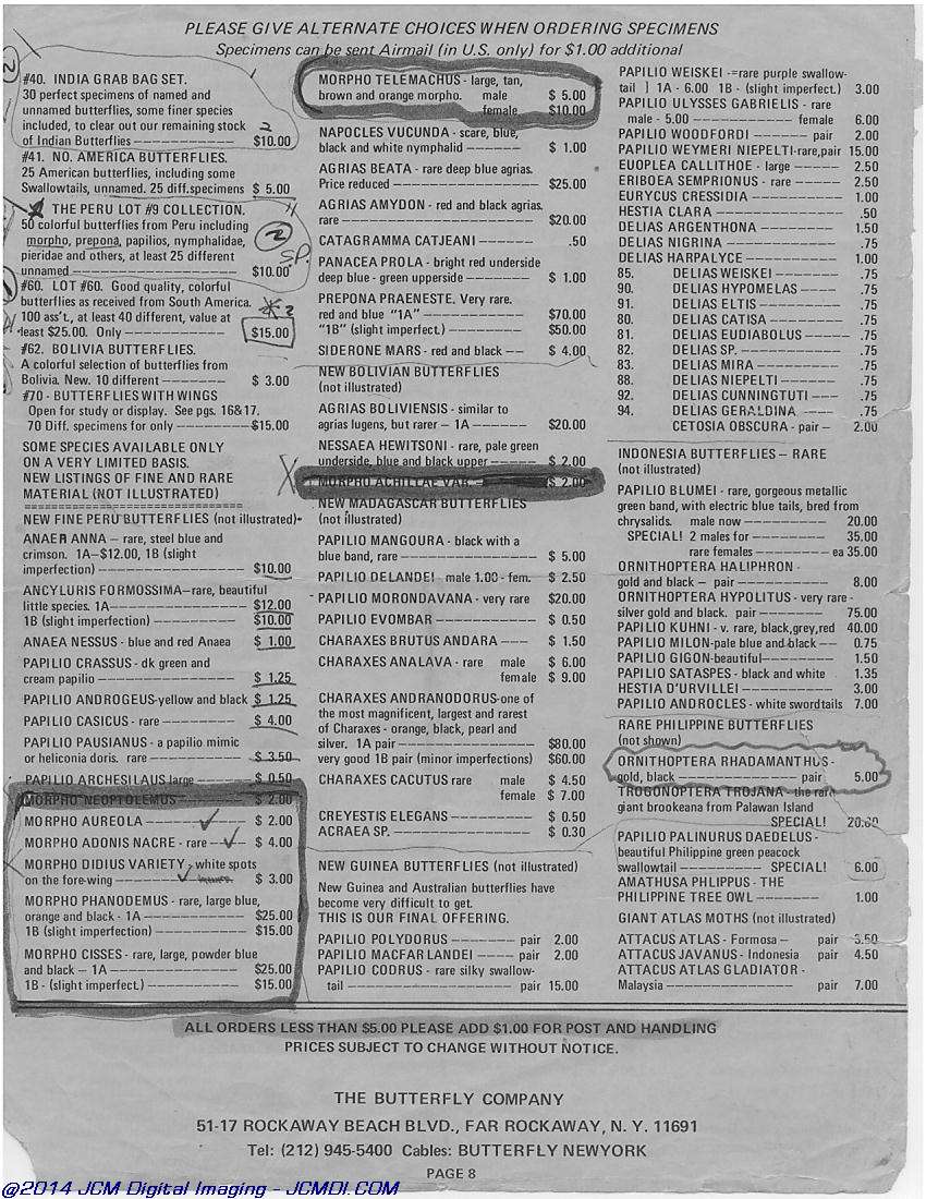 The Butterfly Company (NY) 18 page catalog 1976